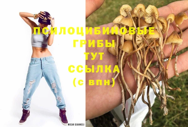 гидропоника Киренск