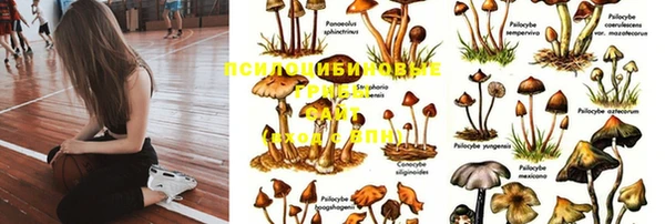 СК Кинешма