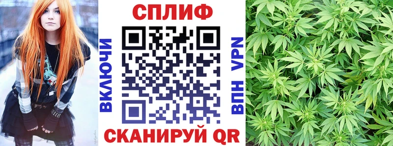 Купить закладки  Вилюйск  Бошки Шишки конопля 